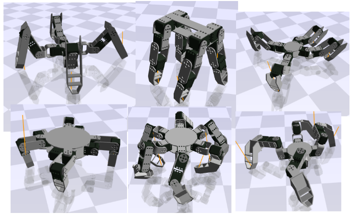 Optimizing Morphology and Locomotion On a Corpus of Parametric Legged Robots